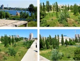Земля в центре города