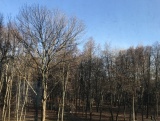 Прекрасная квартира в центре города!