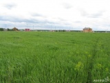 Продаются земельные участки в с. Большая Кузьминка