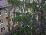 Хорошая квартира!
