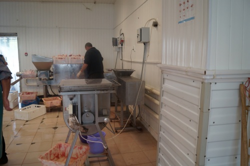 Продажа базы "Разделка и реализация мяса"