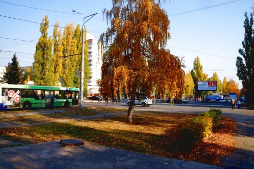 Аренда торговой площади