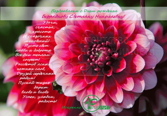 Коллектив Агентства Ризолит-Липецк искренне поздравляет с Днем рождения Безряднову Светлану Николаевну!